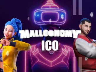 Mallconomy