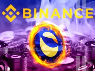 Binance Logo