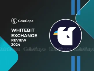 WhiteBit Review