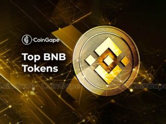 BNB Chain Tokens