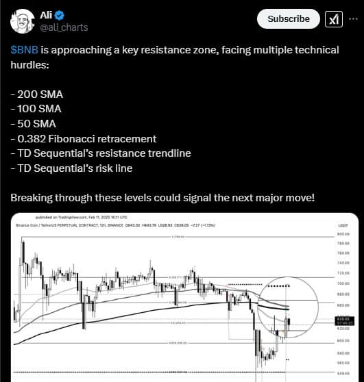 Gráfico de análise técnica do BNB mostrando várias linhas de médias móveis e níveis de resistência.