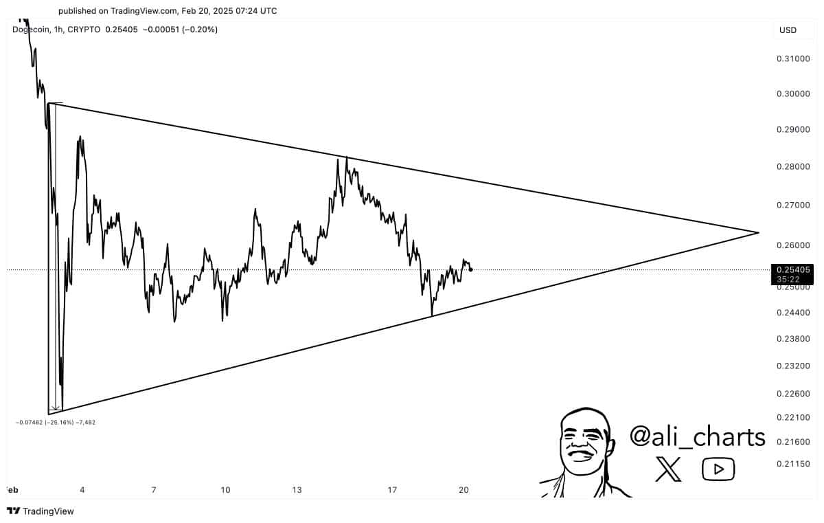 Gráfico de preço do Dogecoin em timeframe de 1 hora mostrando uma formação de triângulo simétrico entre US$ 0,22 e US$ 0,29.