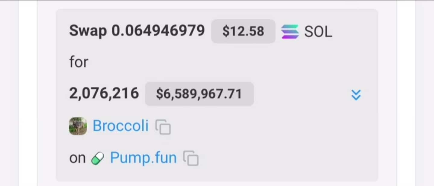 Screenshot de uma operação na Pump.fun mostrando a troca de 0.064946979 SOL ($12.58) por 2,076,216 tokens Broccoli, valendo $6,589,967.71.