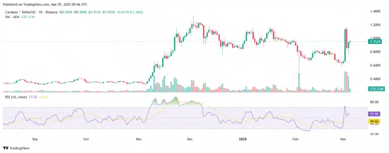 Gráfico de 1 hora do par Cardano/Tether na Binance com indicador RSI.