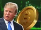 Montagem com Donald Trump e uma moeda dourada de Bitcoin em frente a um gráfico de mercado em verde.