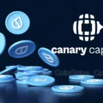 Moedas digitais SUI em azul com o logo da Canary Capital em fundo escuro.
