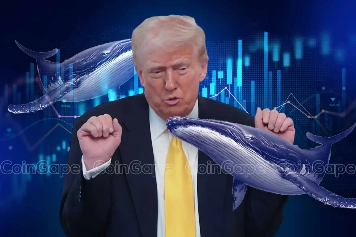 Montagem com Donald Trump cercado por baleias sobre um fundo de gráficos de mercado cripto.