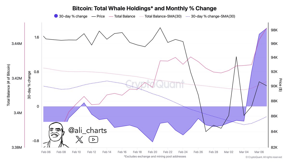 Gráfico mostrando as participações totais de Bitcoin pelas baleias e a variação percentual de 30 dias, de fevereiro a março de 2025.