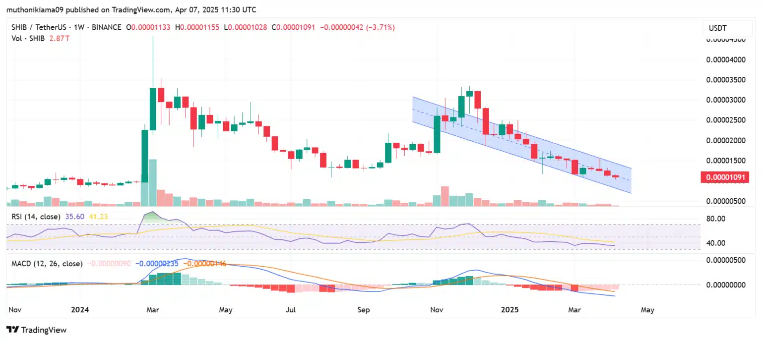 Gráfico semanal do SHIB/USDT na Binance mostrando canal descendente com RSI e MACD.
