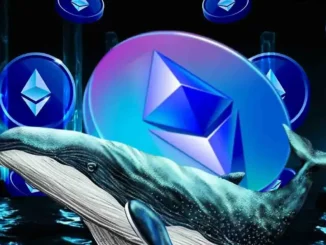 Ilustração de uma baleia nadando diante do símbolo do Ethereum, representando grandes investidores acumulando ETH.