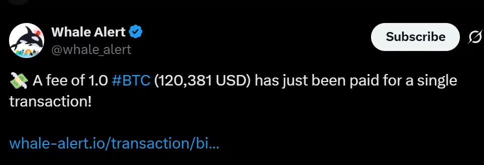 Captura de tela do tweet do Whale Alert mostrando alerta sobre taxa de 1.0 BTC (120.381 USD) paga em uma única transação Bitcoin