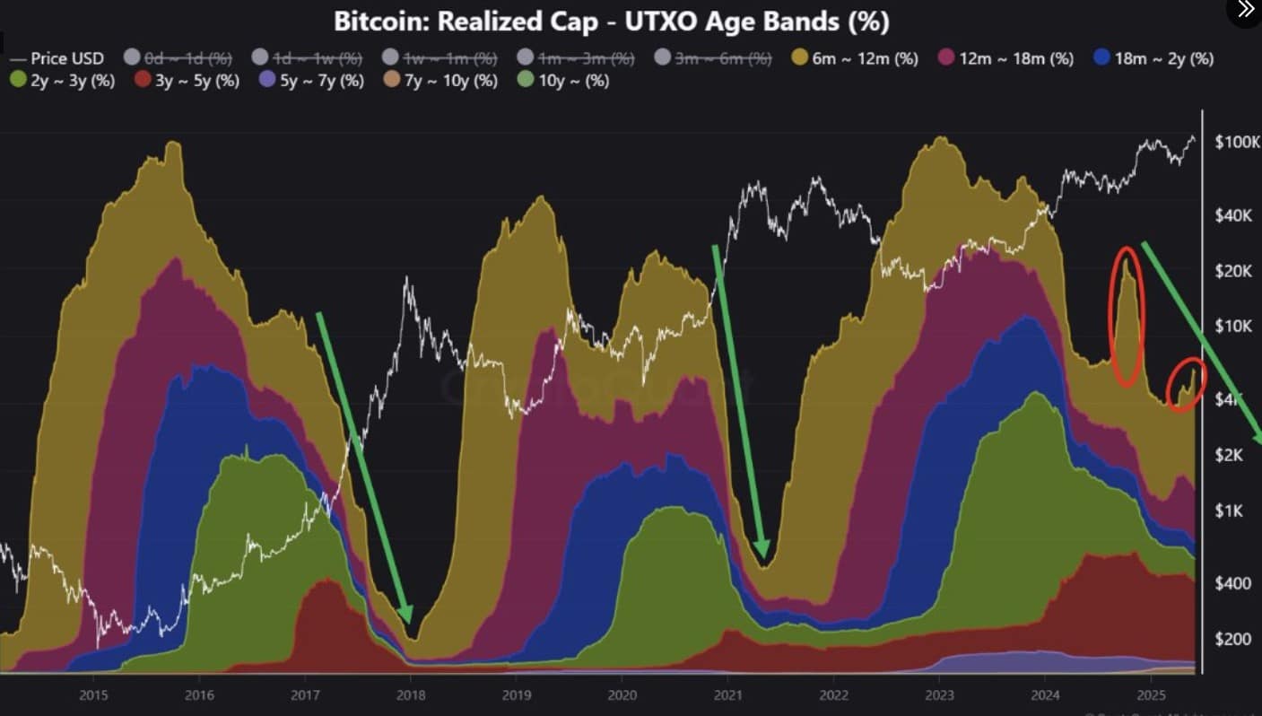 Gráfico de área colorida mostrando distribuição do Realized Cap do Bitcoin por tempo.