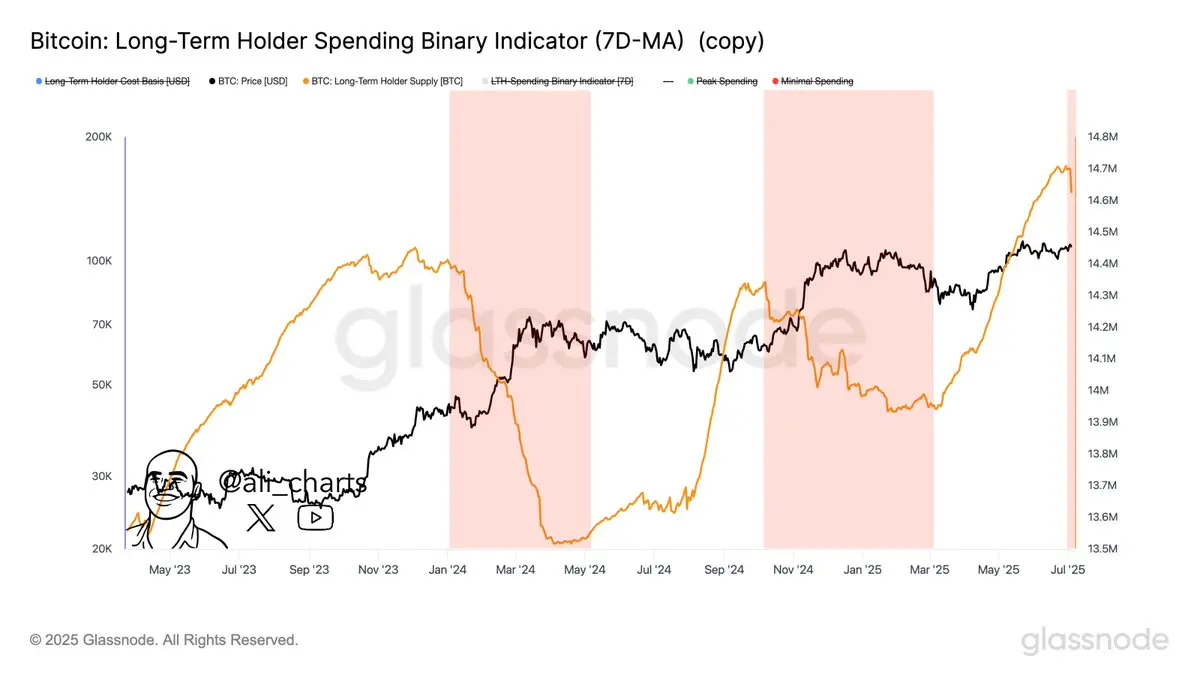 Gráfico mostra indicador binário de gastos de detentores de Bitcoin de longo prazo com áreas destacadas em vermelho indicando períodos de vendas.