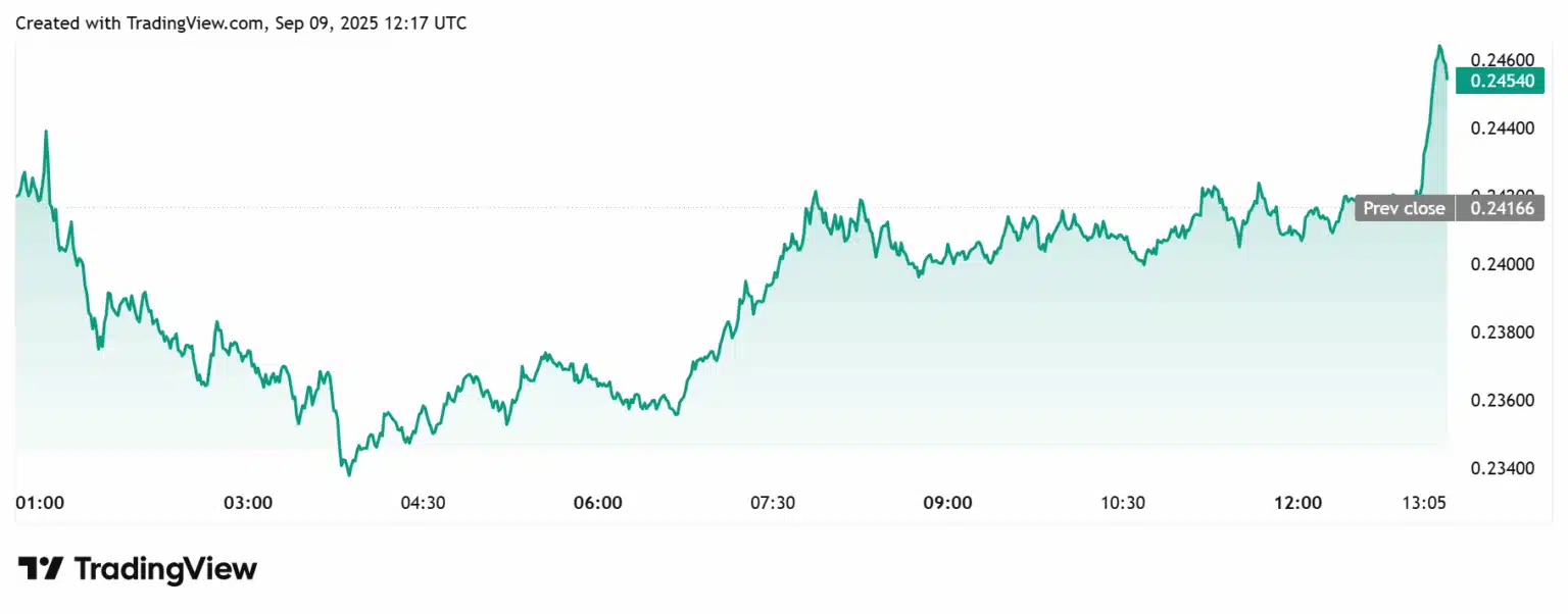Gráfico de 12 horas do Dogecoin mostrando alta de US$ 0,23440 para US$ 0,24600