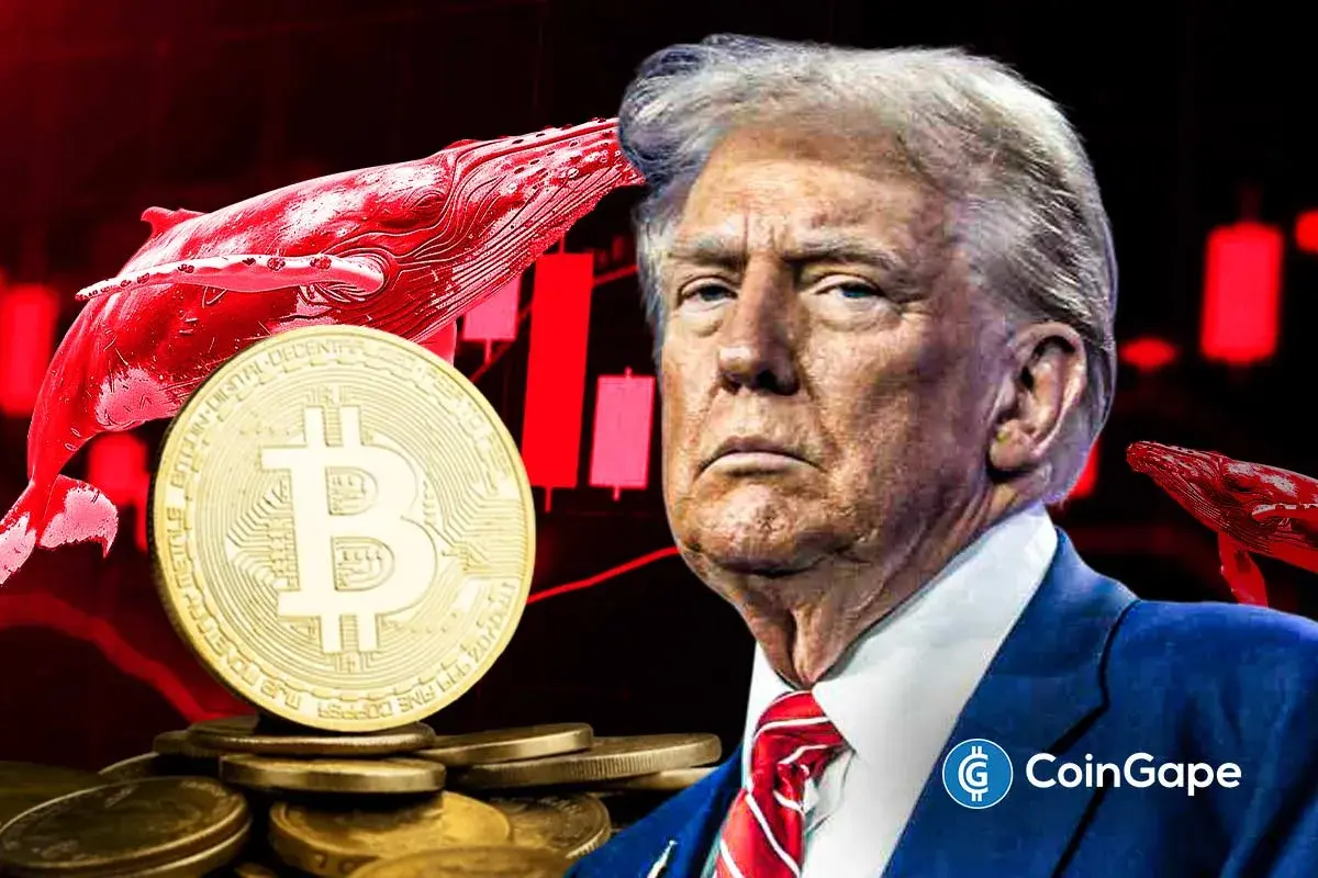Arte digital representando momento baixista do Bitcoin com moeda dourada, baleias vermelhas em queda e imagem de Donald Trump ao fundo com gráficos vermelhos