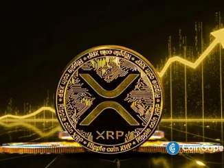 Representação visual de uma moeda dourada de XRP com o símbolo da criptomoeda em destaque e gráficos de alta em tons amarelos ao fundo.