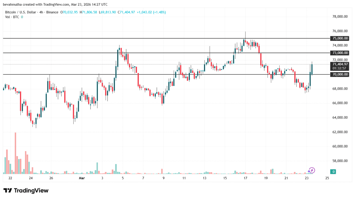 Gráfico de preço do Bitcoin no TradingView exibindo movimentação de março de 2026 com níveis de suporte e resistência