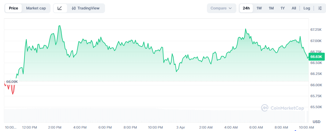 Gráfico do Bitcoin exibindo cotação de US$ 66,63 mil, com mínima de US$ 66,09 mil e máxima próxima de US$ 67,25 mil nas últimas 24 horas, na CoinMarketCap.