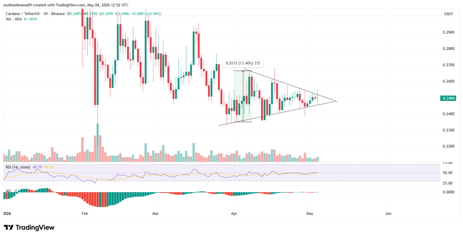 Gráfico de candlesticks diário do par ADA/USDT na Binance, exibindo triângulo simétrico com RSI neutro em 49 e Awesome Oscillator próximo a zero.