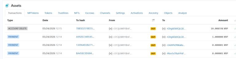 Captura de tela mostrando transações recentes nas carteiras associadas a Chris Larsen, cofundador da Ripple