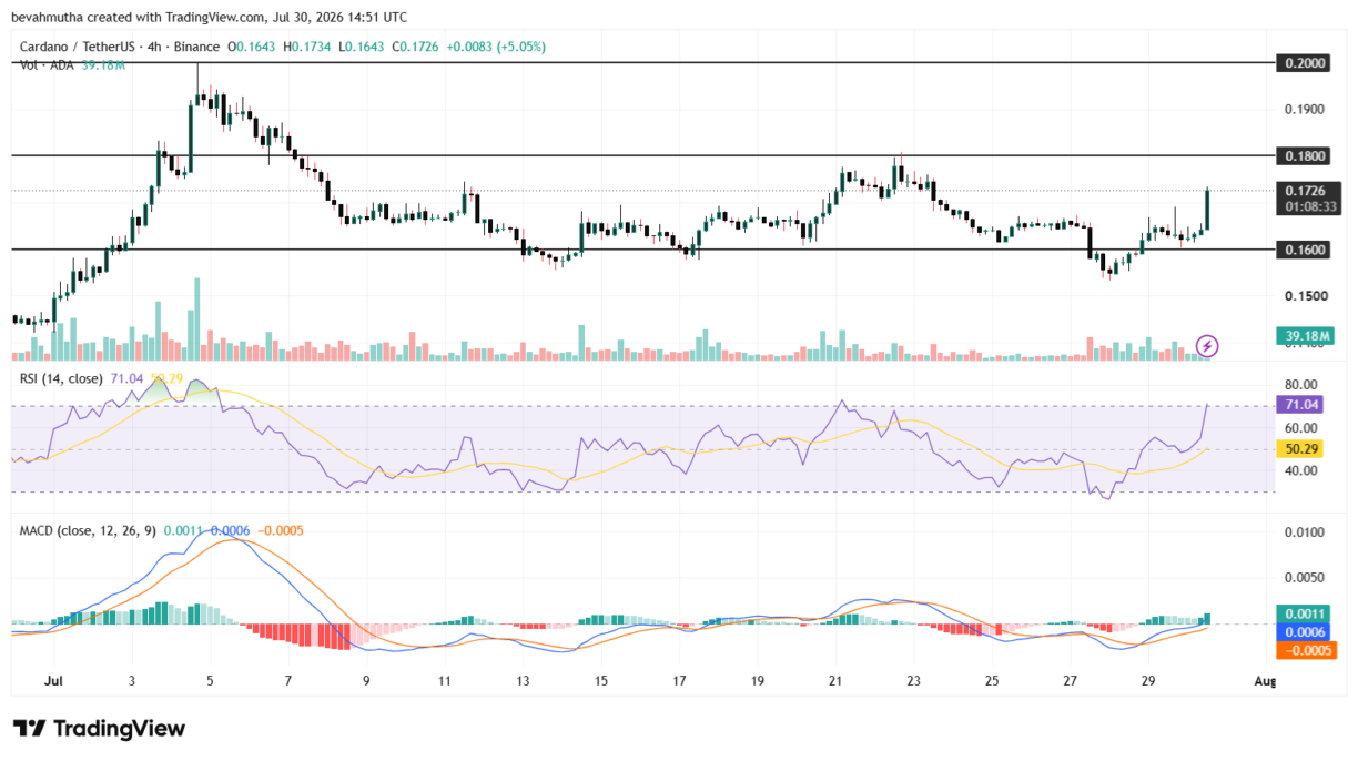 Gráfico de candles do par ADA/USDT no TradingView, com indicadores RSI e MACD.